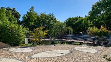Sun-drenched park bridge whispers serenity, whispers picnics and tranquil Earth Day moments amid verdant urban grove's embrace
