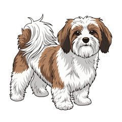 havanese dog head full body, cartoon vector digital art illustration, isolated on white transparent background