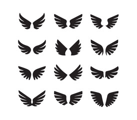 Obraz premium Wing Collection Vector