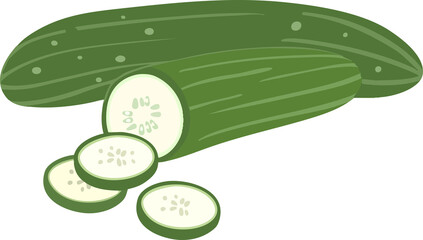 Organic cucumber hand drawn illustration