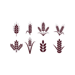 Obraz premium Wheat ears silhouette collection agriculture harvest food grain organic natural ingredient symbol set vector