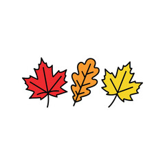 Autumn maple oak leaves autumnal seasonal fall foliage nature organic design elements vector