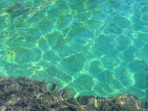 Transparent sea water with algae at the bottom.