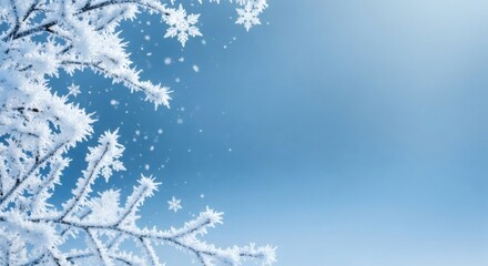 Obraz premium Icy branches against azure sky create a serene and crisp winter season backdrop showing a natural