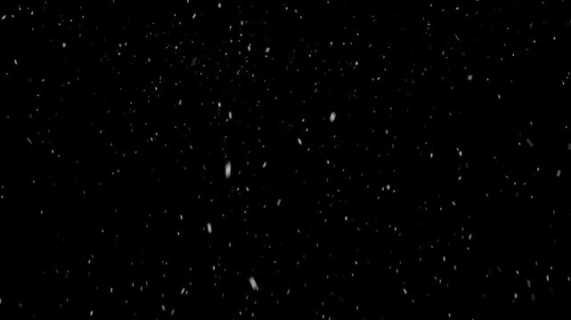 Snow Falling on Black Background - Winter Snowflakes Overlay Footage