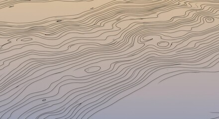 Lines resembling contour maps on a gradient background The lines are black The background is tan and light purple