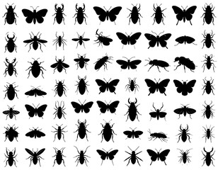 Diverse insect silhouettes creating intricate patterns and textures on white