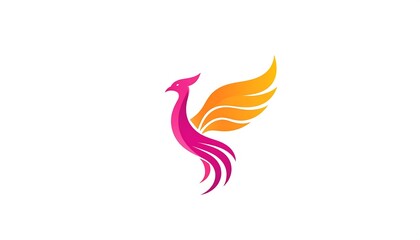Obraz premium A stylized phoenix design with vibrant pink and orange hues, showcasing dynamic wings.