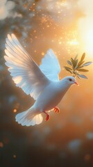A dove with an olive branch at sunset, surrounded by bright glare — for posts about harmony, symbols of peace, and inspirational messages.