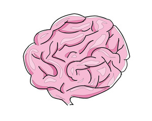 human brain vector illustration