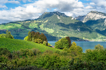 Naklejka premium Scenic Landscape with Thunersee Lake and Mountains