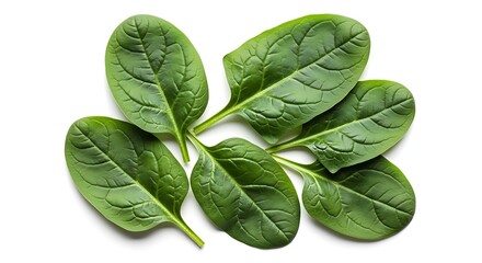 Fresh Spinach Leaves Isolated on White Background, Healthy Eating Concept.