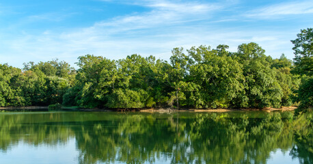 湖面に映る緑の森と青空の夏景色