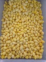 Overhead shot of a container filled with peeled and cooked ginkgo nuts, vertical image.