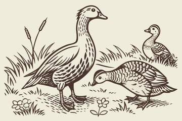 Vintage etching style hand drawn animal illustrations