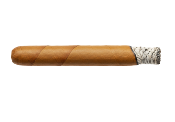 Smoked cigar with ash tobacco product closeup view transparent background