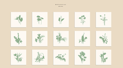 Illustration with big collection of spring and garden flowers frame background. Big set with garden and tropical flowers. Decorative element, card, logo, poster.
