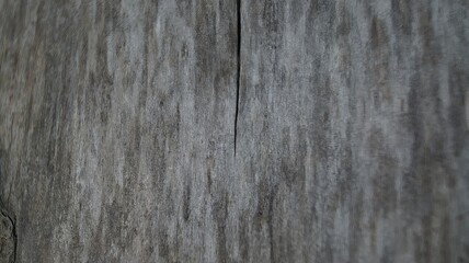 A uniform, close-up shot of faded grey wooden planks or a wooden surface, showing subtle grain patterns. Suitable as a rustic background, design element, or representation of aged materials. 