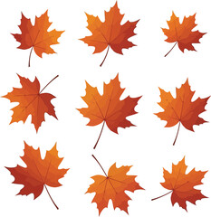 Autumn maple leaf collection vibrant orange fall season foliage isolated vector