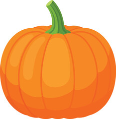 Ripe orange pumpkin fresh autumn harvest garden vegetable vector