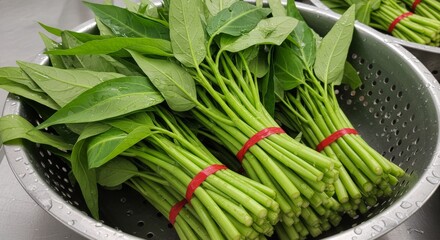 Obraz premium Harvested Green Water Spinach Bundles in a Metal Colander with Red Bands, Showcasing Crisp Stems and Leaves