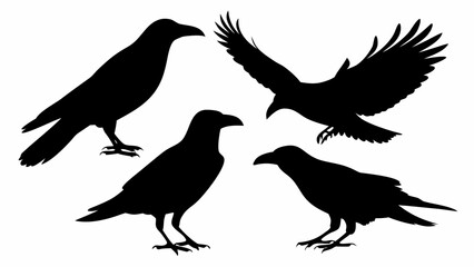 Obraz premium Four crow silhouettes depicting different poses including standing and flying in a black and white image