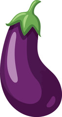 Vibrant purple eggplant isolated healthy food ingredient vector