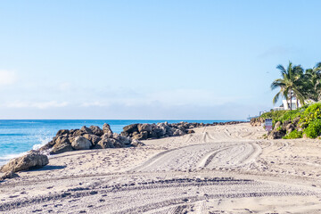 Bright morning view of a sandy beach with tire tracks, rocky breakwater and palm trees along the ocean shore