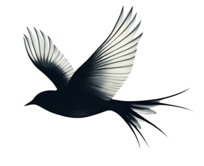 Simple bird silhouette soaring freely on a transparent background symbolizing independence, courage, and new beginnings