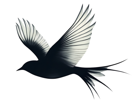 Simple bird silhouette soaring freely on a transparent background symbolizing independence, courage, and new beginnings