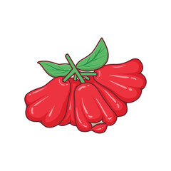 Freshly picked Red Rose Apples with green leaves