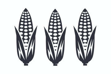 Silhouetted Corn Cobs on White Background of Harvested Maize