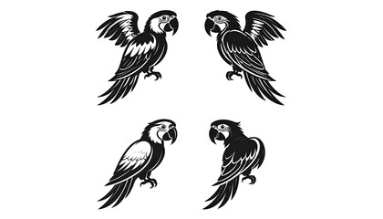 Obraz premium Black and white parrot illustrations