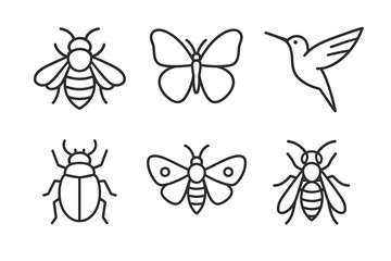 Outline illustrations of various insects: butterfly, bee, beetle, hummingbird