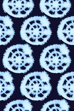 Shibori indigo hand painted ink pattern with circles