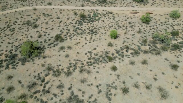 Drone shot of flat Sonoran Desert terrain with spotted shrubs, sandy ground and arid natural texture