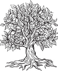 Detailed Oak Tree Sketch Collection