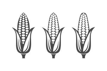 Three Corn Cobs Icon, Harvest Season Icon, with White Background
