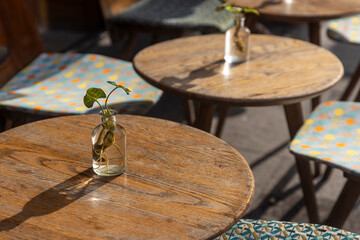 Cozy outdoor cafe setting with plant decor on wooden tables, perfect for relaxation and dining.