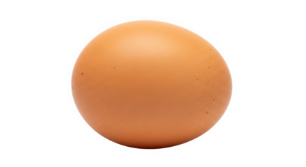 Fresh brown egg on a white background  