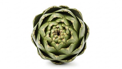 Obraz premium artichoke on a white background