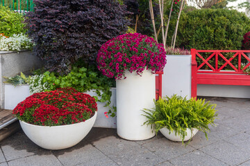 Decorative flower arrangements in white planters with red bench in garden