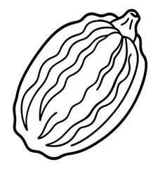 Vector illustration of an onion, a cartoon food drawing for a coloring book