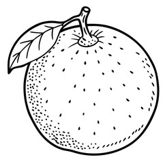 Vector illustration of a fresh ripe apple with water drops and a leaf, a symbol of healthy food and nature