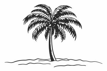 silhouette of palm tree