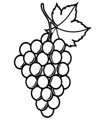 Fototapeta premium A sweet, purple bunch of ripe grapes on a vine with a leaf, a fresh fruit vector illustration