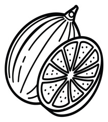 Vector illustration of fresh and juicy citrus fruits, including oranges and lemons, with a slice of watermelon