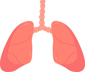 Human Lungs Anatomy Illustration