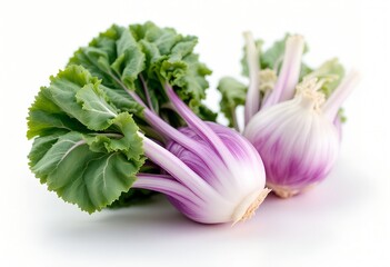 Fresh purple and white fennel bulbs with green leaves on a white background