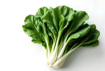 Vibrant Fresh Bok Choy Bunch Isolated on White Background